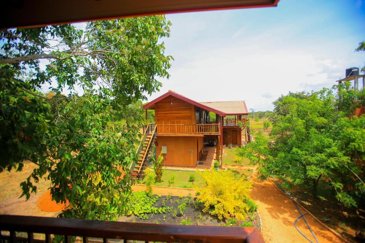 Jungle Hut Resort Sigiriya Exteriér fotografie