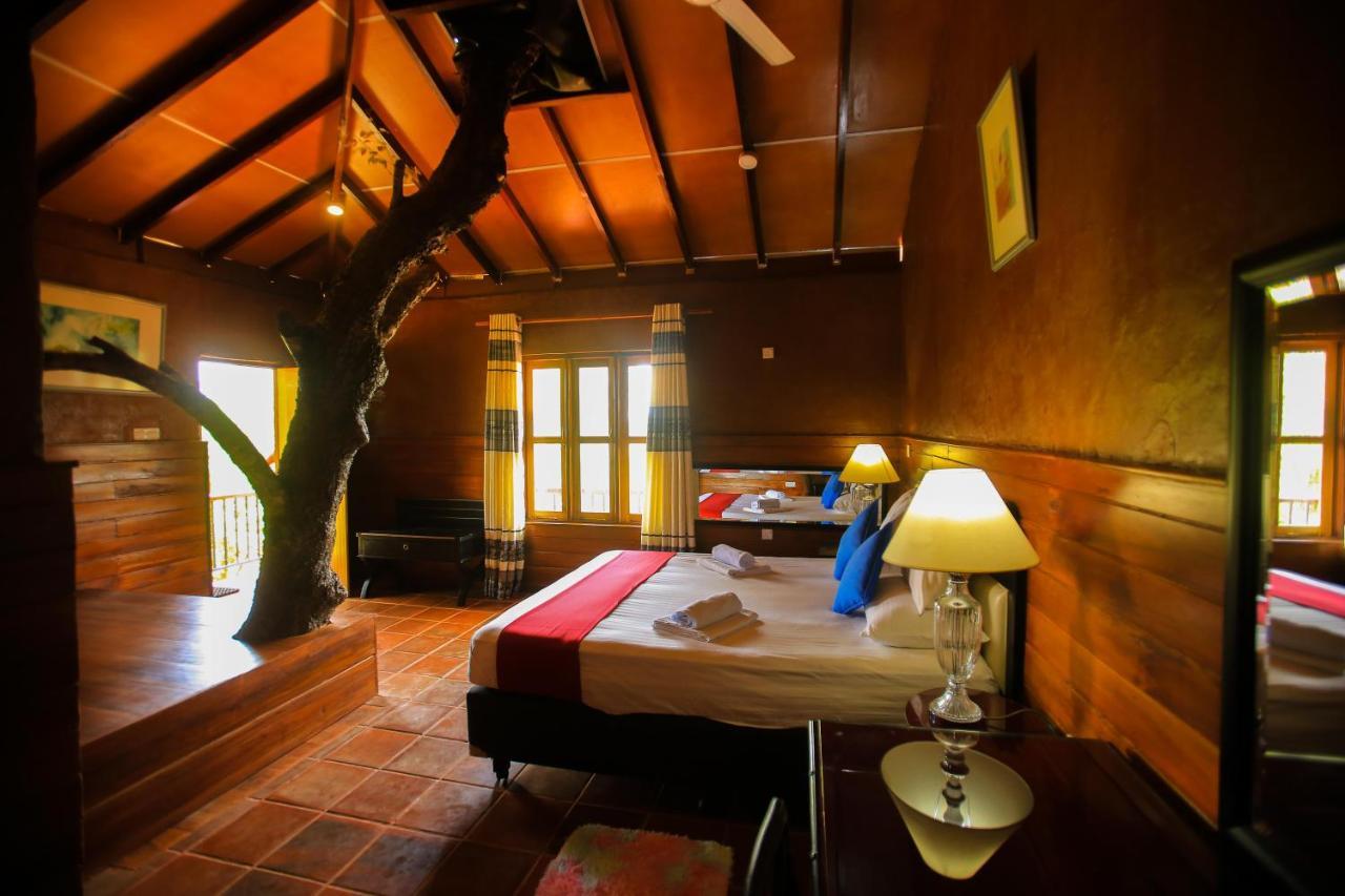 Jungle Hut Resort Sigiriya Exteriér fotografie