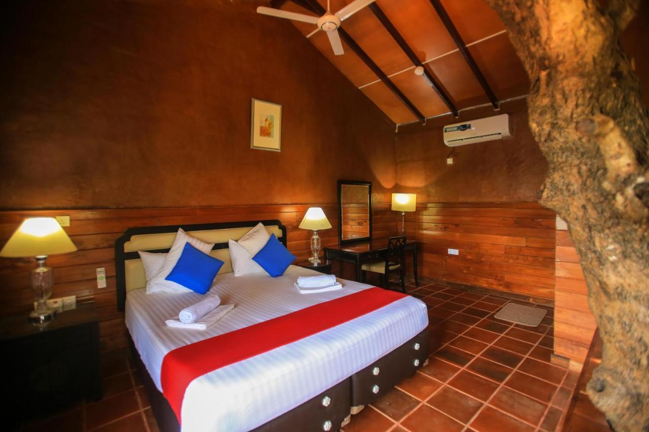 Jungle Hut Resort Sigiriya Exteriér fotografie