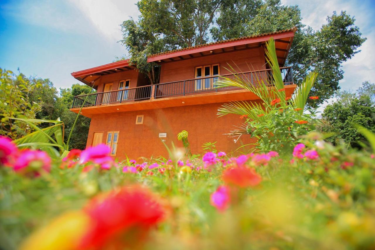Jungle Hut Resort Sigiriya Exteriér fotografie